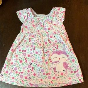 Carters Owl Dress (3-6)